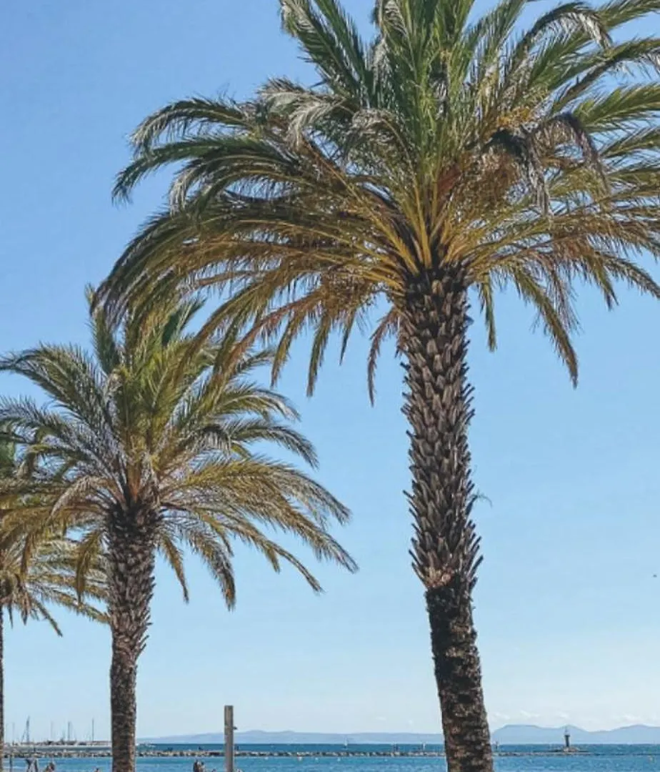Studio Roses Plage